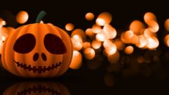 Halloweenowa uczta w Ogrodach Hortulus Spectabilis