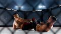 DWM Fight Night: Wielkie emocje w Białogardzie