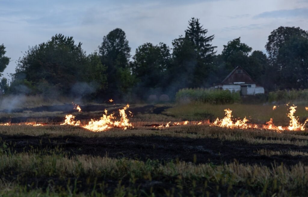 Groźne zdarzenie w Białogardzie: Płonęła trawa blisko marketu Kaufland